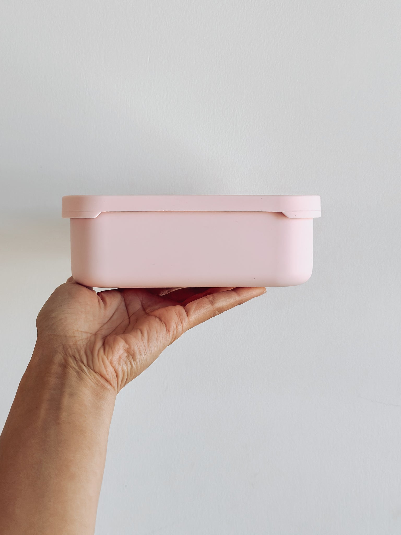 Ballerina Pink Stainless Steel & Silicone Lunchbox