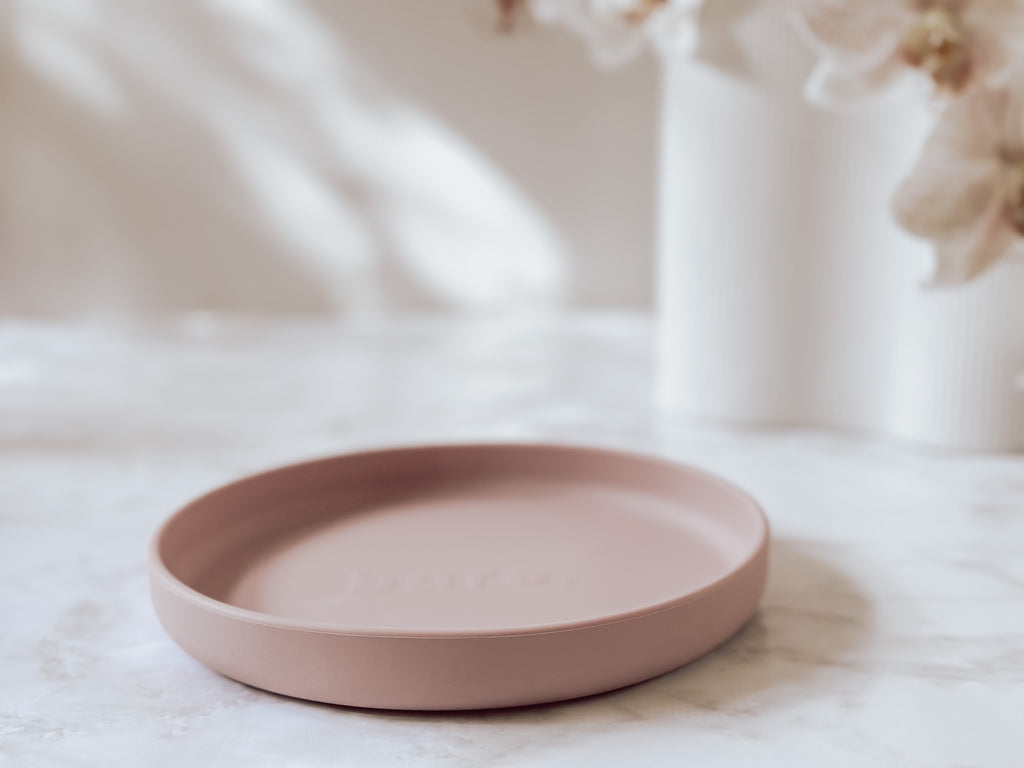 Dusty Pink Silicone Plate